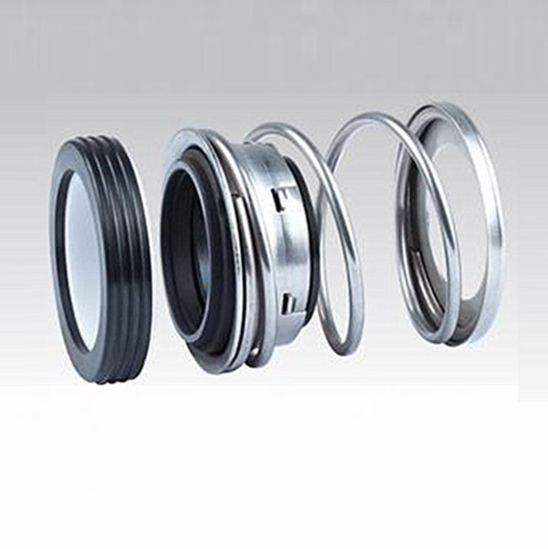 Spring Elastomer Mechanical Seal Fbd with O-Ring Used in Process Pump